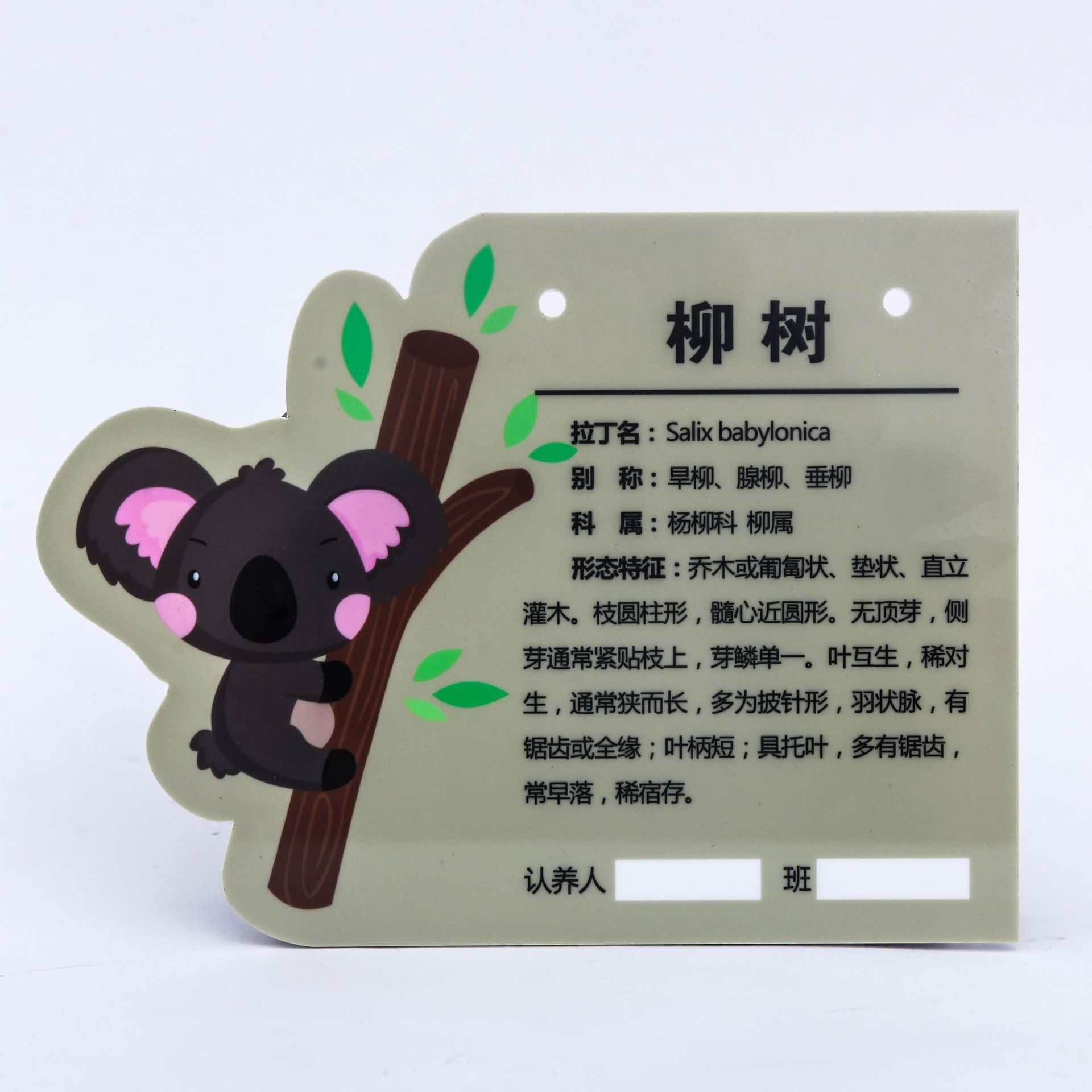 花草牌亚克力树牌植物铭牌标识志牌树木介绍挂牌木广告牌定制标牌