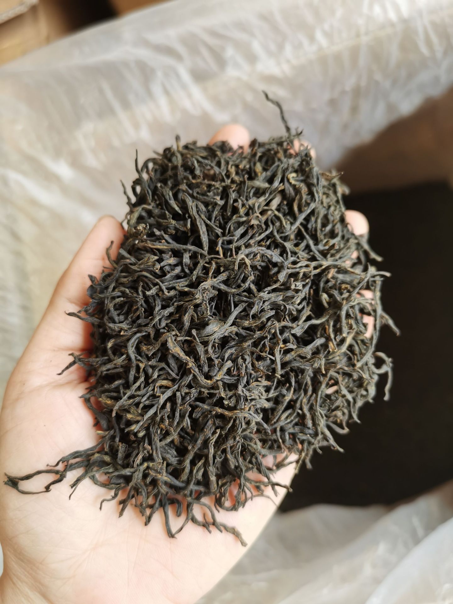 2020年新茶广西三江茶叶小种红茶福云6号原产地茶农直销