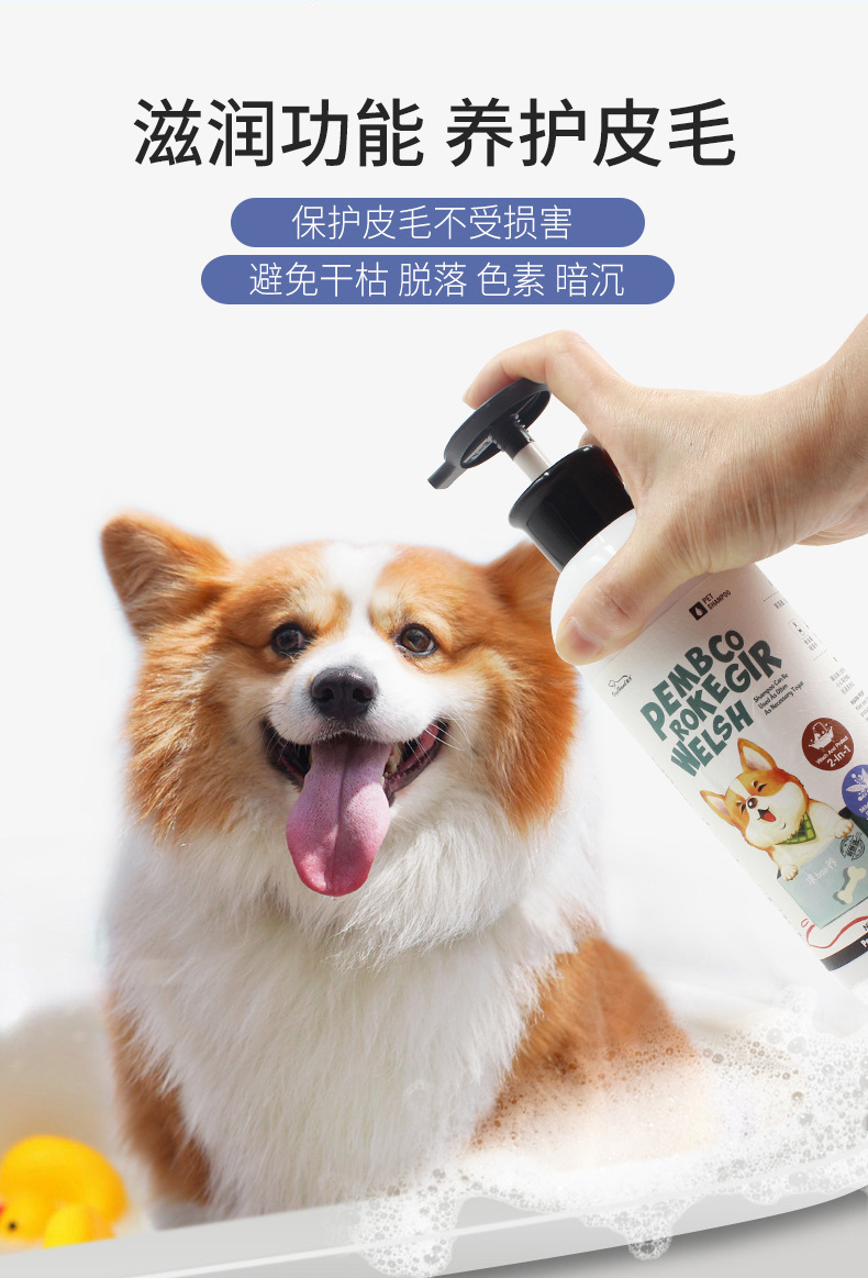 洗护二合一狗狗沐浴露专用香波杀螨除臭留香宠物浴液用品柯基法斗