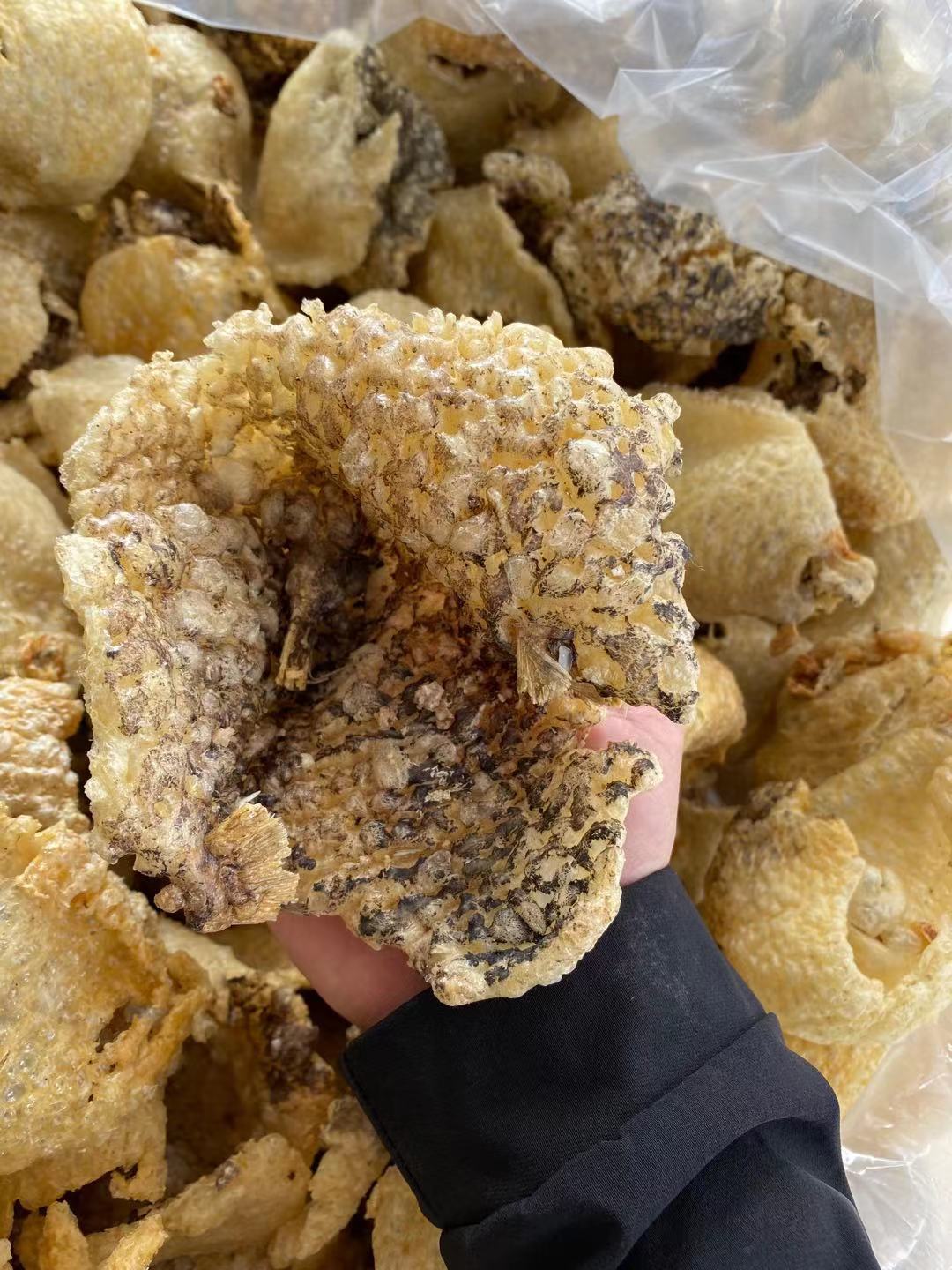 北海深海刺龟鱼皮油爆鱼皮干货刺鱼皮酒店饭店鱼皮干货250g批发