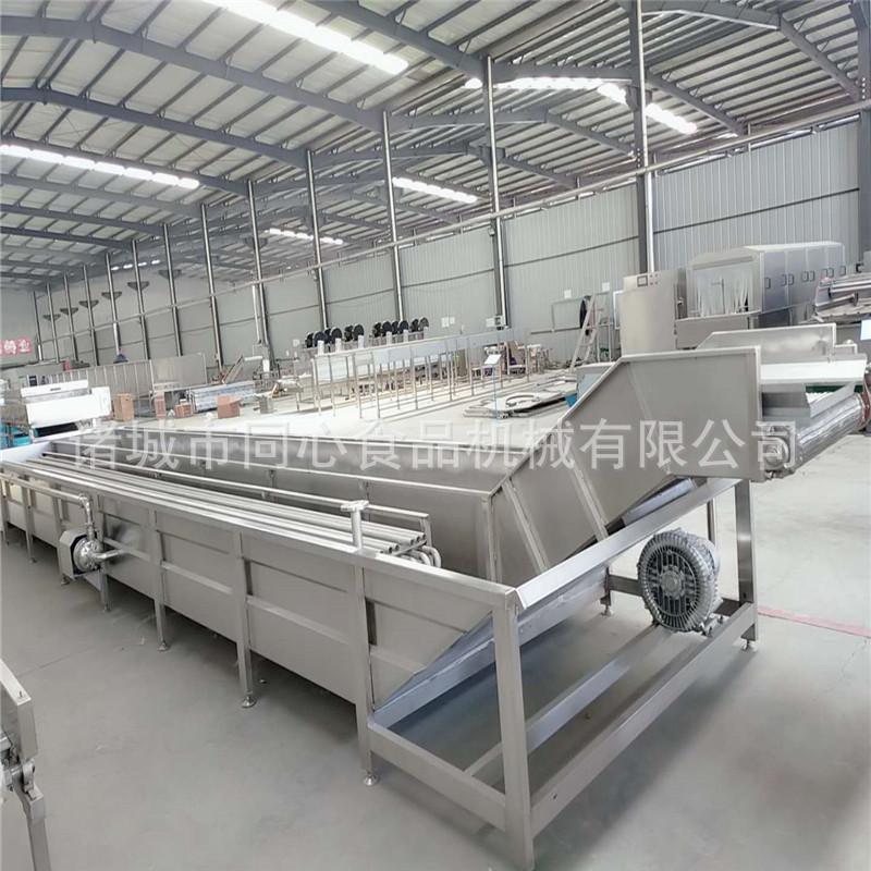 厂家专属加工定制巴沙鱼柳挂冰机 巴沙鱼片挂冰机 鱼片包冰衣设备