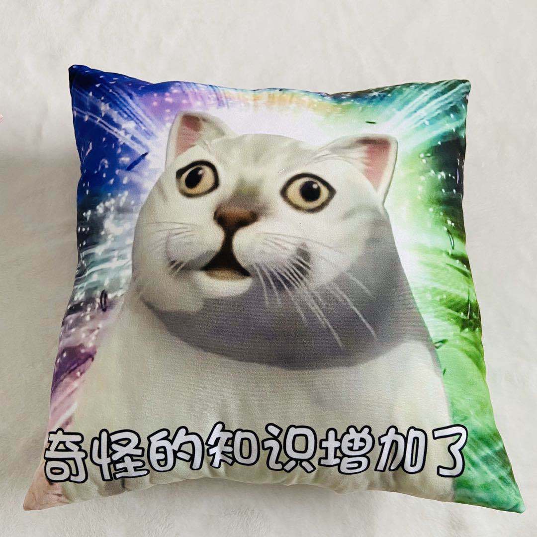 动漫周边mur猫抱枕创意表情包沙雕毛绒公仔小挂件钥匙