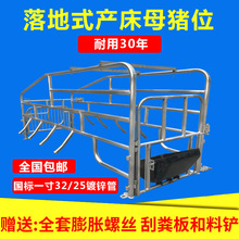 母猪产床落地式产床仔猪分娩床定位栏保育床养殖场猪用设备包邮