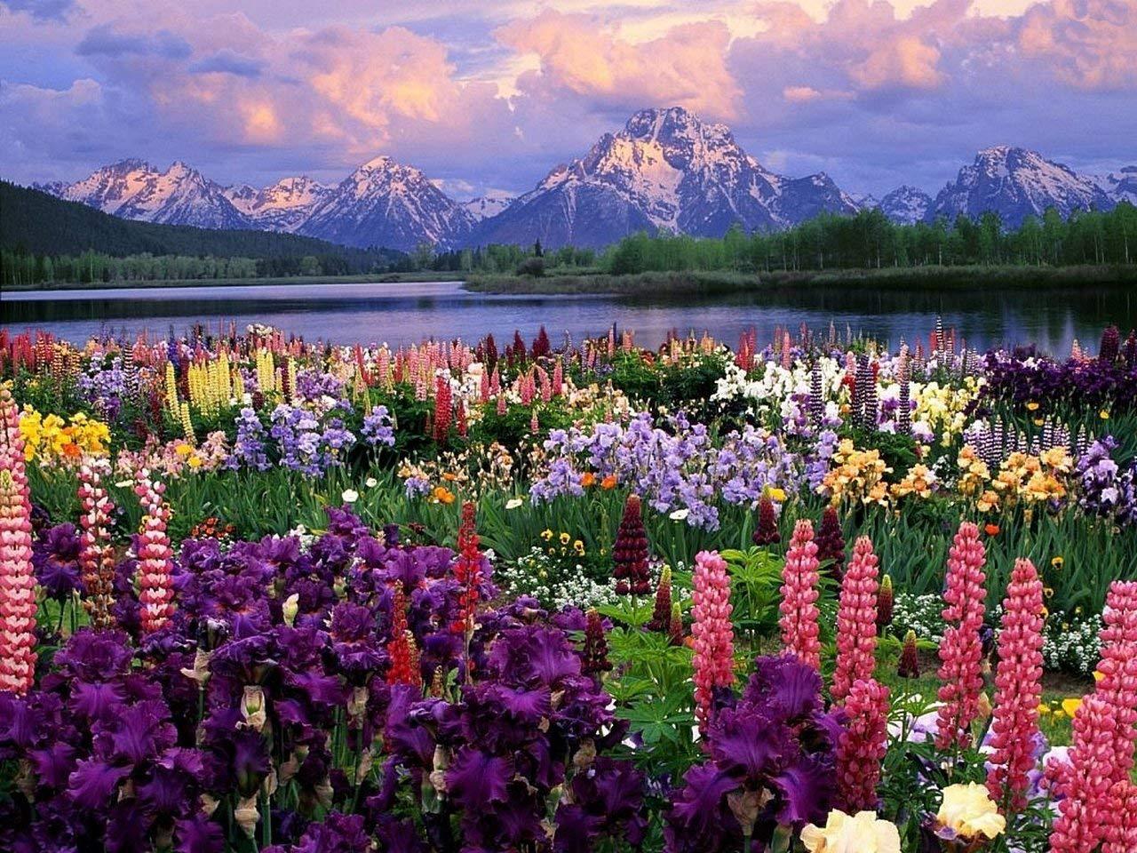 花草雪山湖边花园钻石画