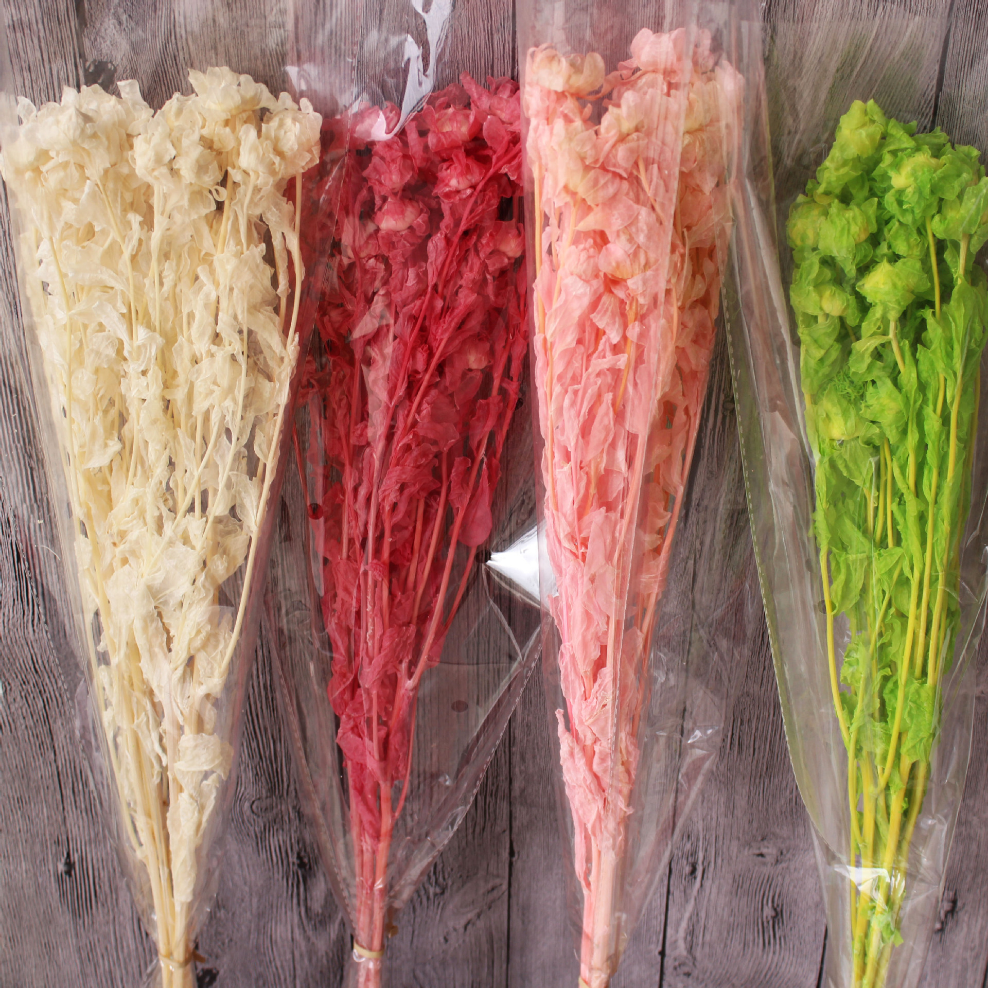 橙菠萝永生花藏红花长久保鲜diy材料云南花材基地直销