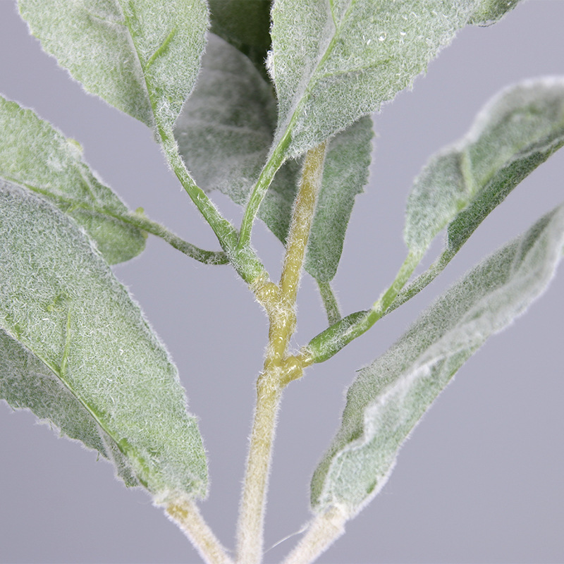 仿真兔耳叶 单支植毛兔耳叶植物墙配材柠檬叶diy插花配件假叶子