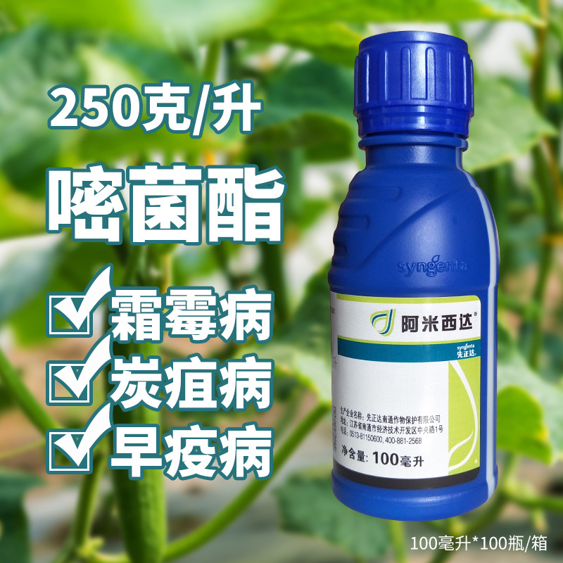 先正达阿米西达嘧菌酯番茄葡萄霜霉早疫病杀菌剂进口100ml