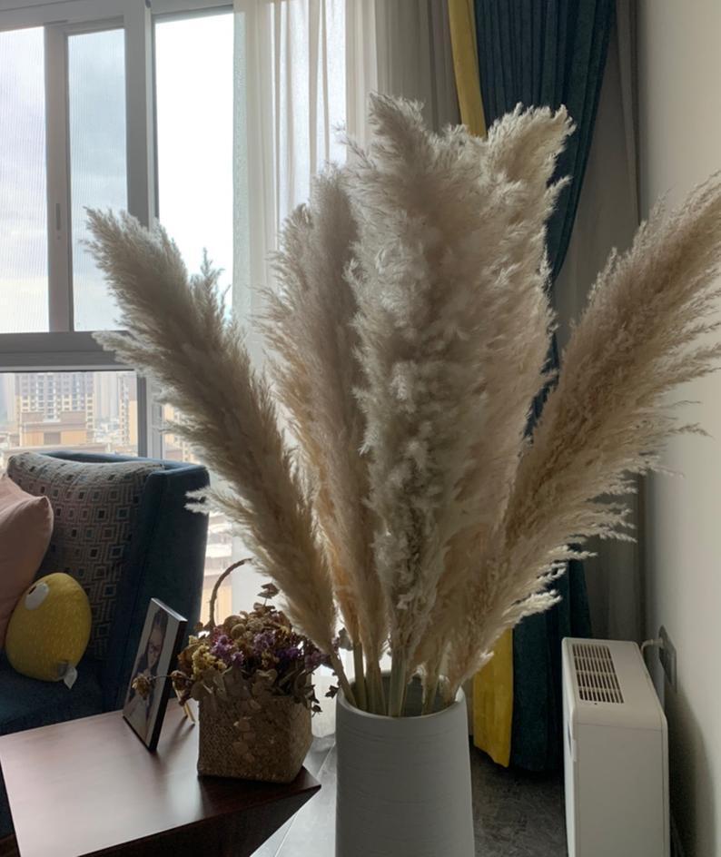 天然大芦苇花干花 婚庆高端布置装饰灰色芦苇干花花束家居装饰