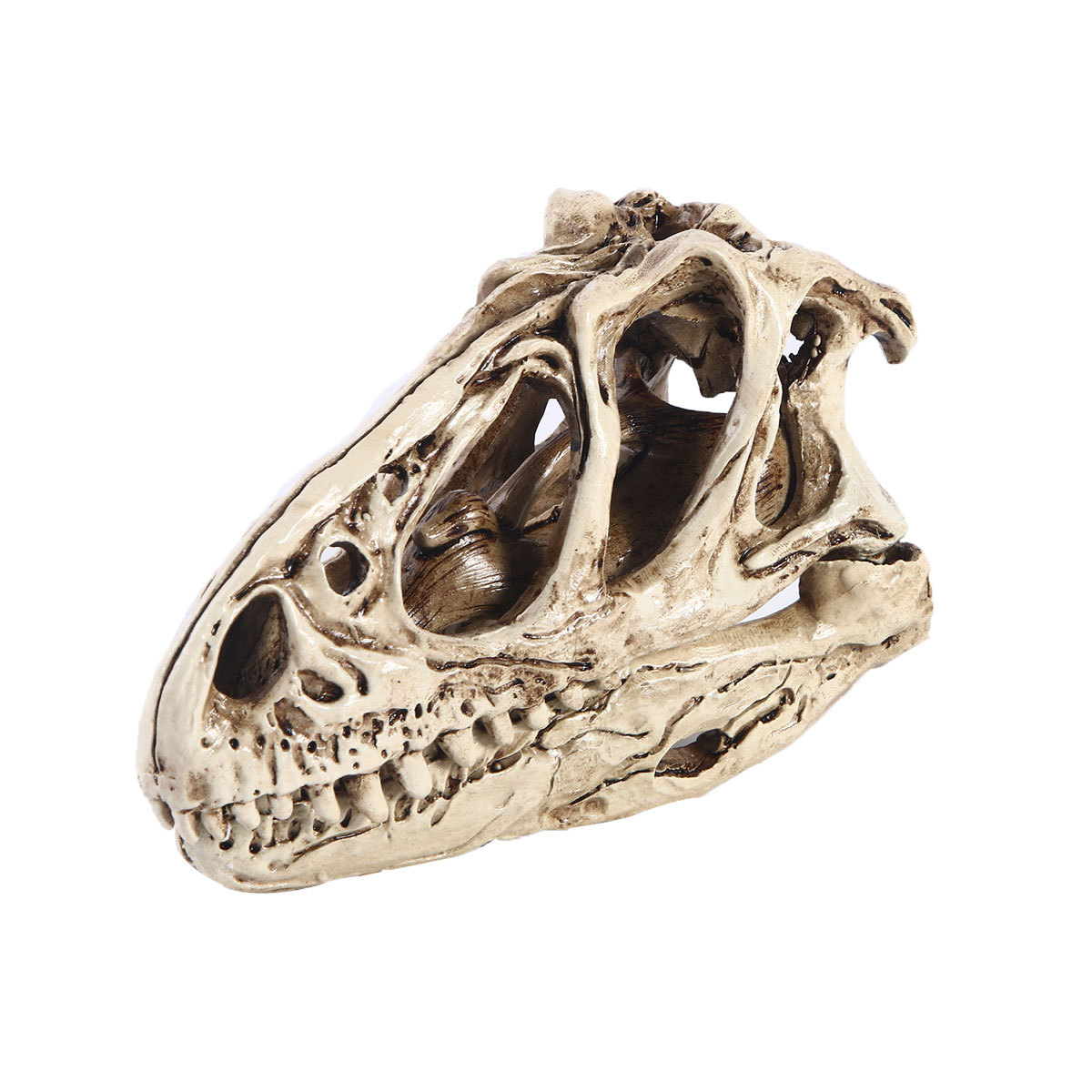 盗铃龙头骨树脂工艺品动物骷髅头个性摆件恐龙骨架外贸供货恐怖