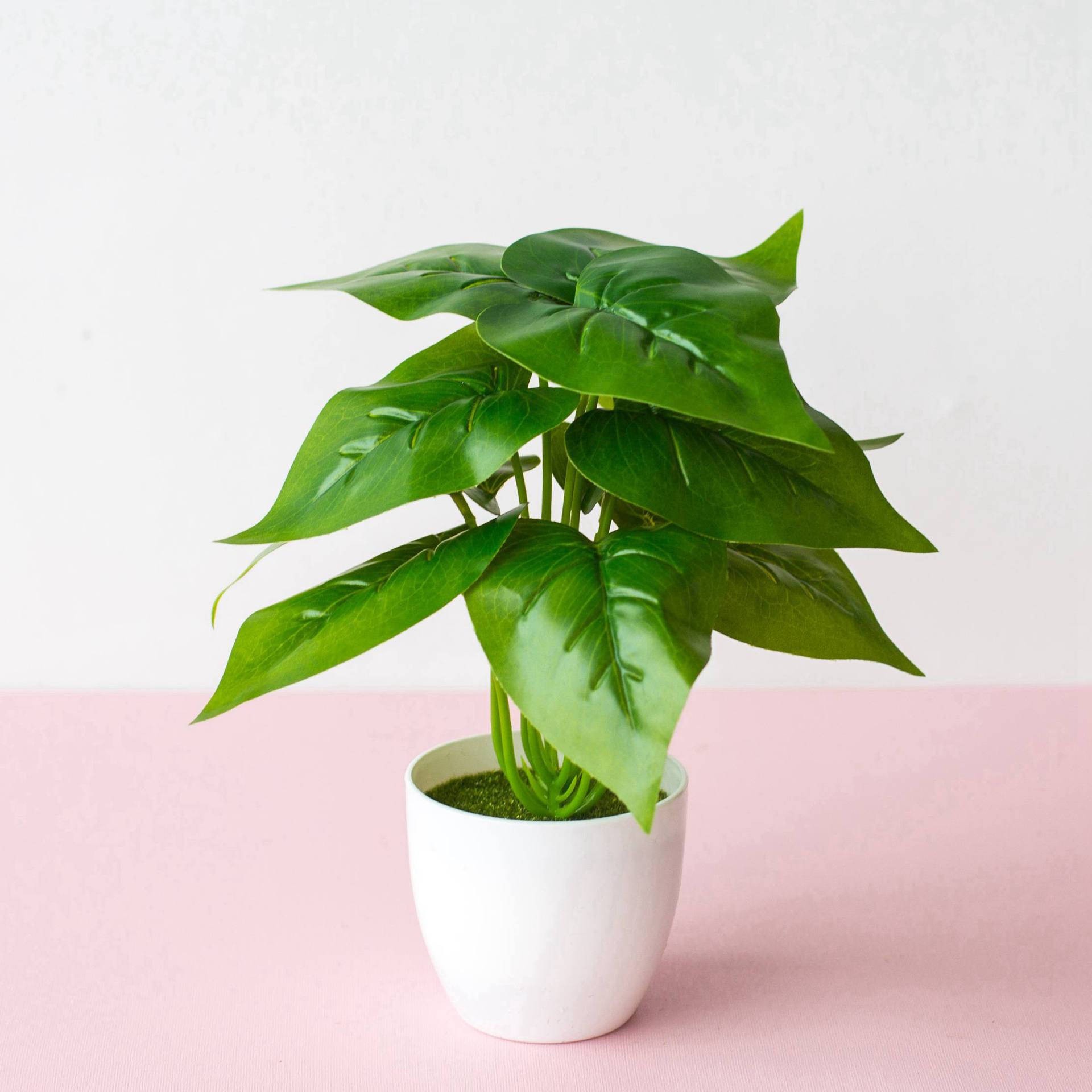 假花绿植盆栽插花叶子墙面装饰绿叶植物墙绿植墙配材仿真绿萝