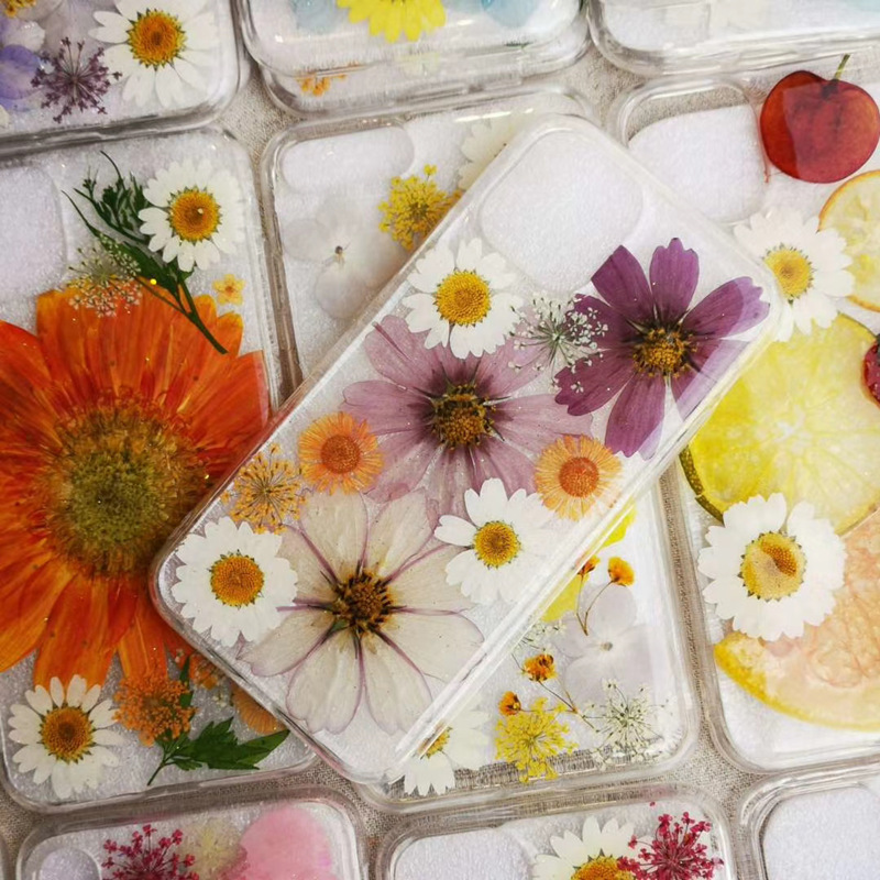 小雏菊白晶菊干花压花 滴胶手机壳花瓣妆儿童diy相框书签台灯材料