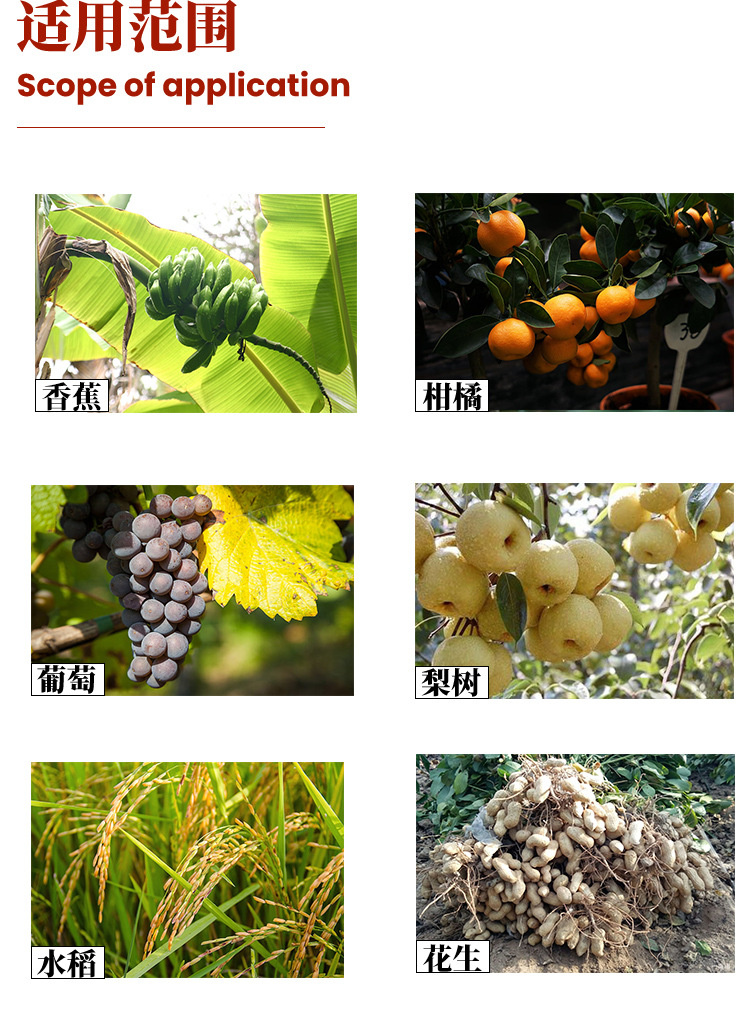 瑞士先正达 阿米妙收32.5%苯甲嘧菌酯蔓枯病叶斑病纹枯病杀菌剂1l