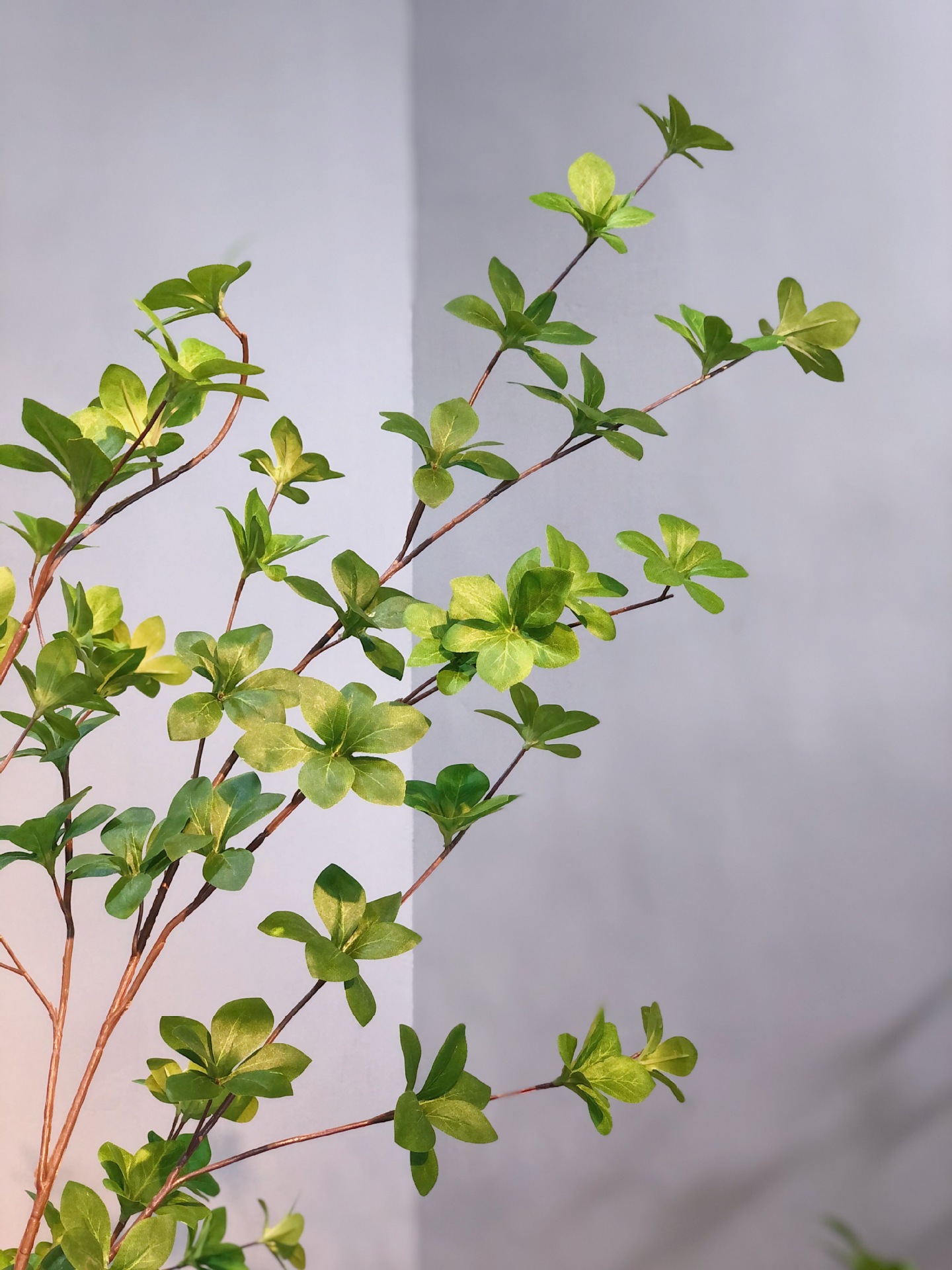 仿真日本吊钟叶仿真植物日本吊钟树叶多瓣叶装饰婚庆插花配材绿植