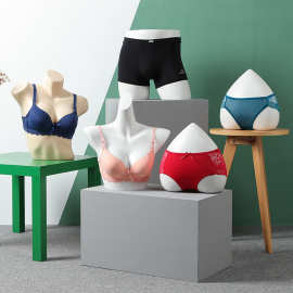 pvc塑料内裤内衣模特心形女士男士臀部模特道具 内衣半身胸模