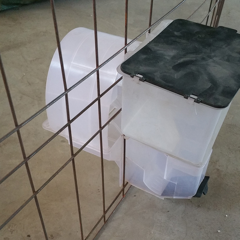 单自动料盒鸽用 黑盖自食盒鸽用单料食盒 鸽笼配件鸽子用自动食槽