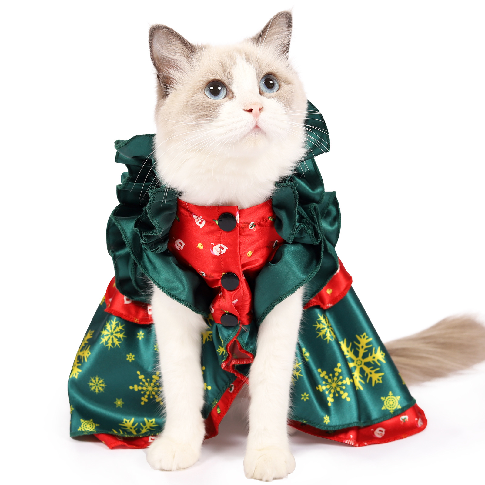 圣诞猫礼服裙子猫衣服宠物猫狗衣服斗蓬猫咪变身衣服宠物服装