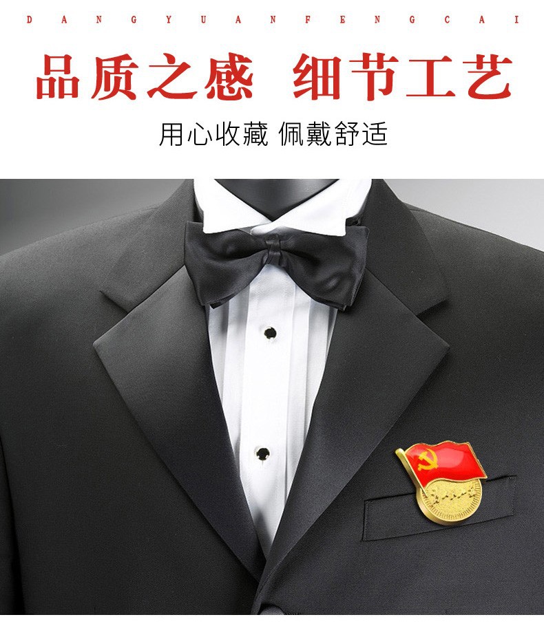 标准型党徽强力磁铁磁扣中共党员胸章胸针定做别针为人民服务党徽