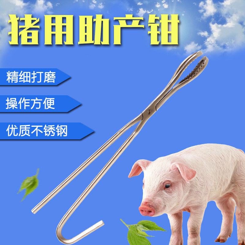 金海沣畜牧猪用助产钳母猪难产助产钳母猪接生助产不锈钢助产钳