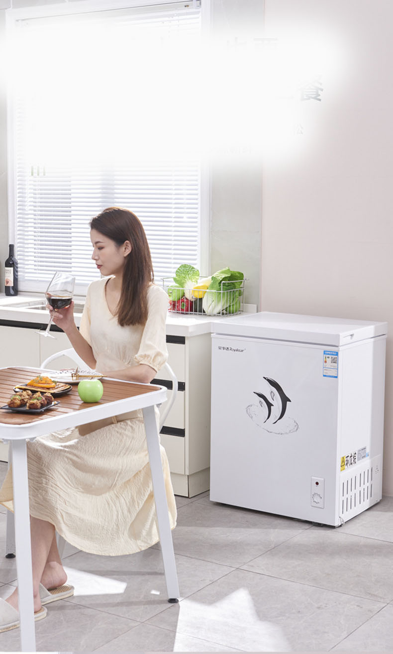 158l小冷柜家用商用大容量冷冻柜迷你冰柜小型保鲜冷藏两用