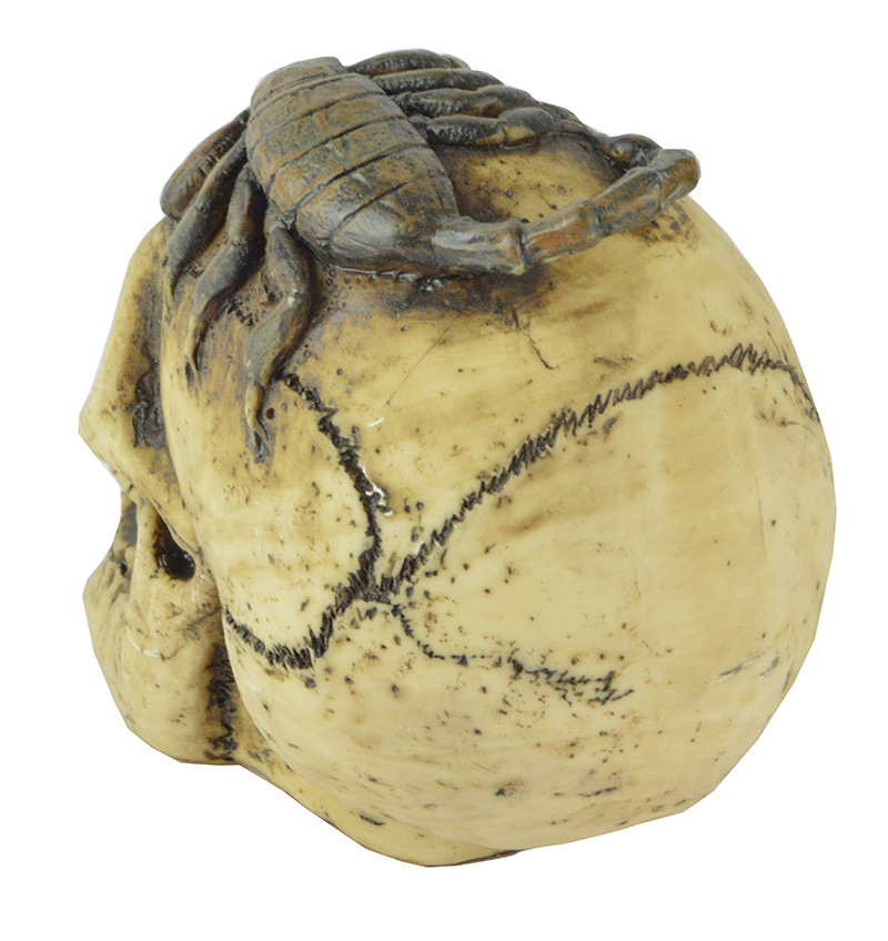 酒吧密室逃脱机关道具万圣节鬼屋影视装饰整蛊玩具恐怖骷髅头模型