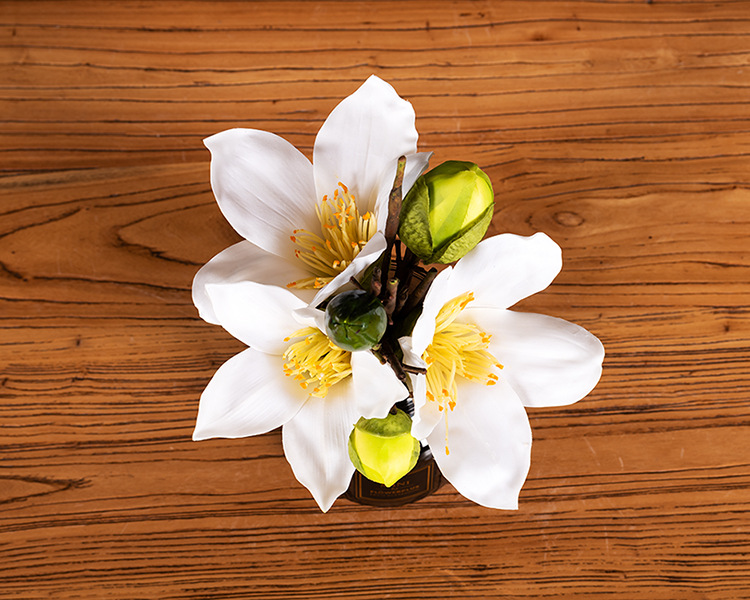 以下是木棉花把束 白色商品描述视频展示适用送礼场合婚庆,满月,旅游