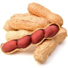 新货扶余四粒红花生新货带壳红衣红皮中小粒东北特产现货一件代发