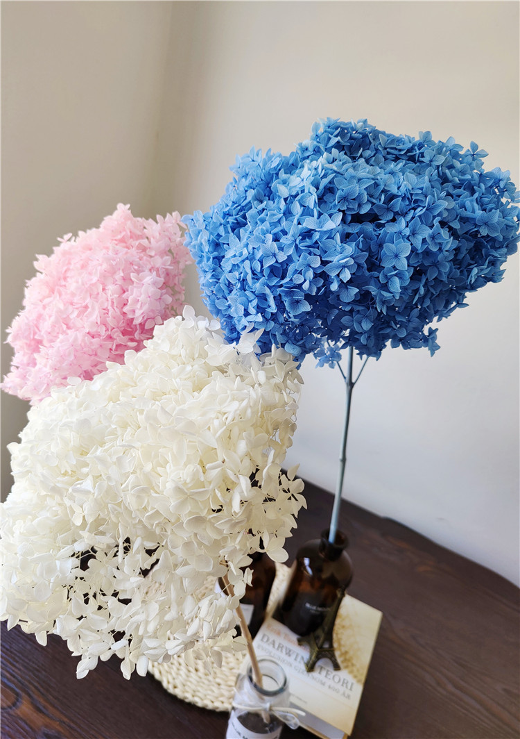 云南永生花批发带杆整支单支安娜小叶绣球家居插花装饰花束紫阳花