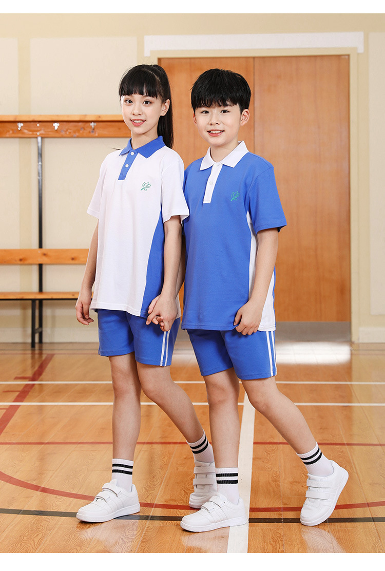 深圳中学校服厂家现货批发春夏秋冬四季新款运动长袖套装校服