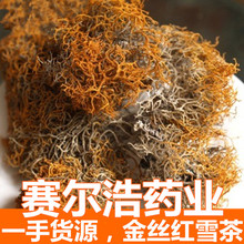批发供应 红雪茶 优质西藏金丝红雪茶 500克一手货源量大从优