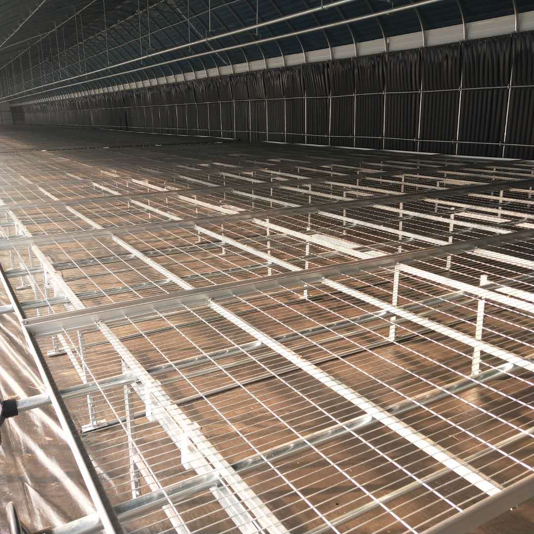 温室大棚育苗网床 升温快苗床 节省空间苗床 苗床网实体厂家
