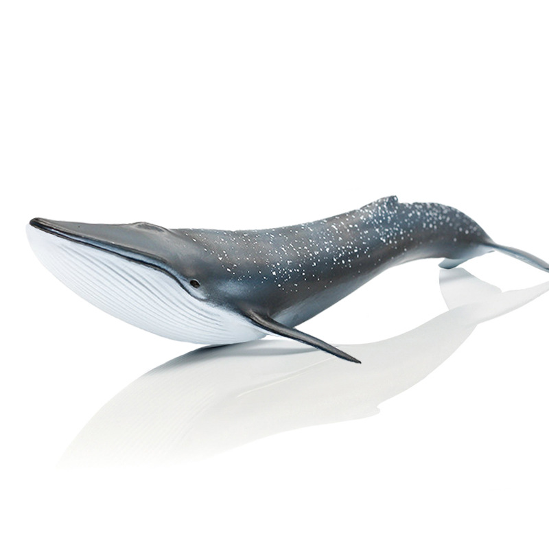 批发跨境儿童仿真实心塑胶鲸鱼模型海洋生物蓝鲸动物静态摆件代发