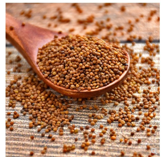 批发中药材 水洗兔丝子 干净无杂菟丝子新货吐丝子 生菟丝