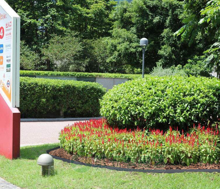 黑色平板pe草石隔离带用于隔根挡水板10米一卷