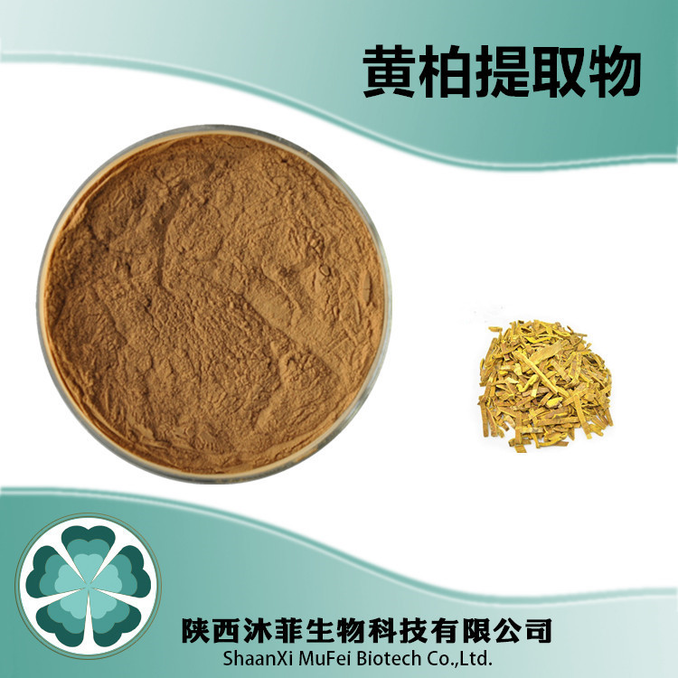 黄柏提取物101黄柏提取粉现货供应黄柏粉黄柏浸膏