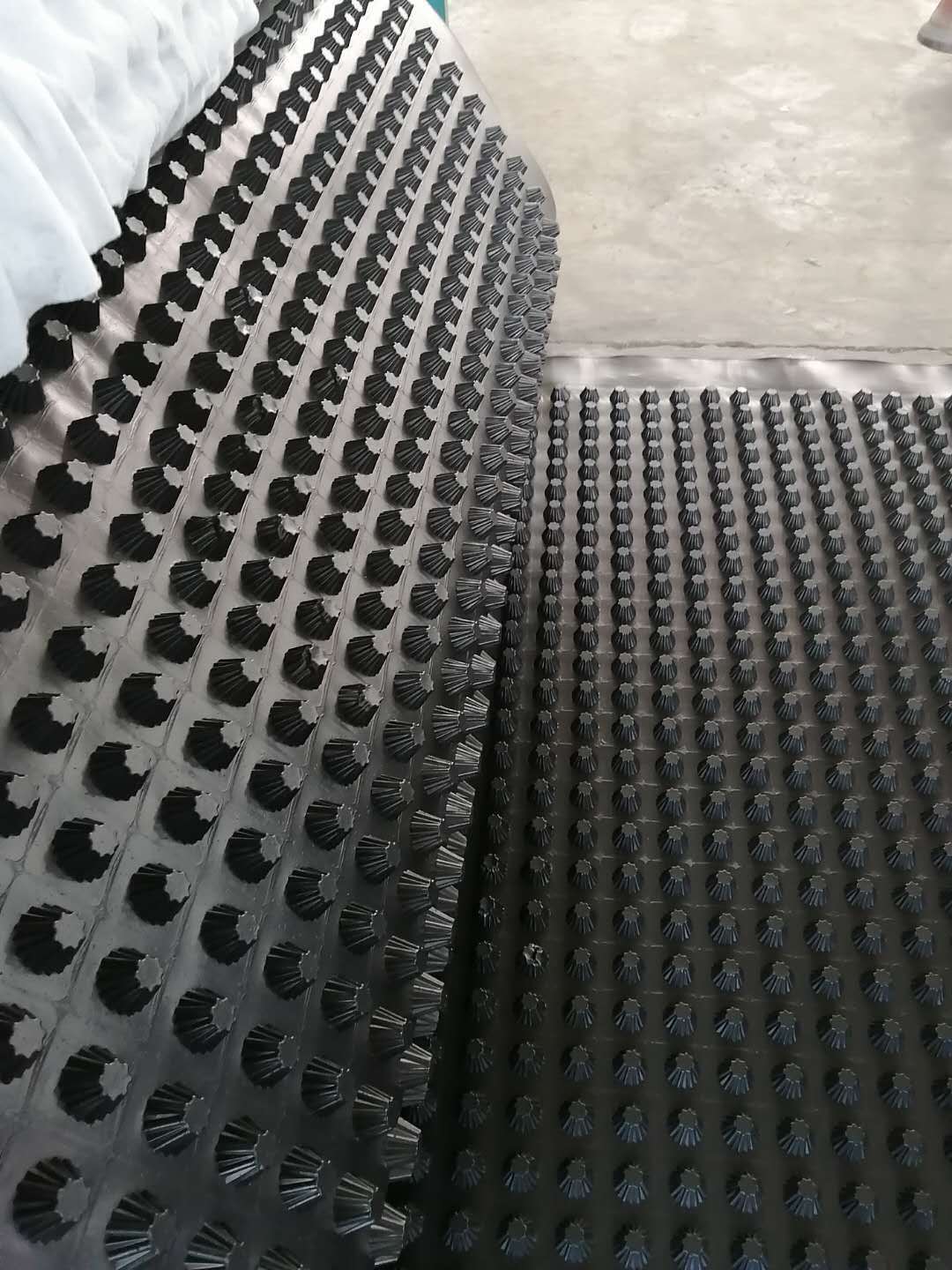 hdpe高分子蓄排水板卷材屋顶楼顶花园绿化塑料疏水板凹凸型排水板