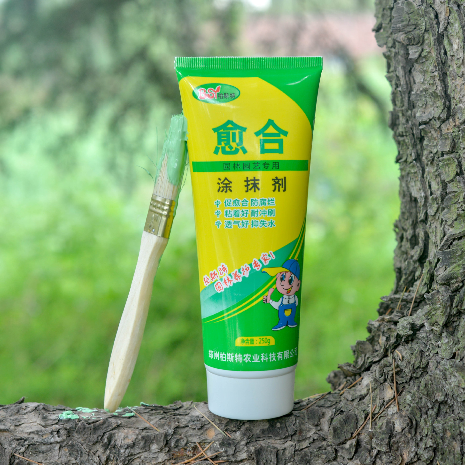 植物伤口涂膜剂树皮损伤保护剂果树封口胶成膜快糊涂锯口涂伤膏