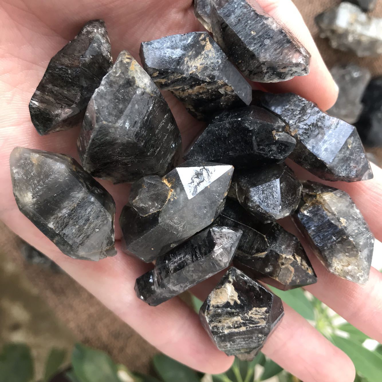 天然黑流沙水晶原石双尖闪灵钻 赫尔基蒙水晶黑幽灵 矿物标本