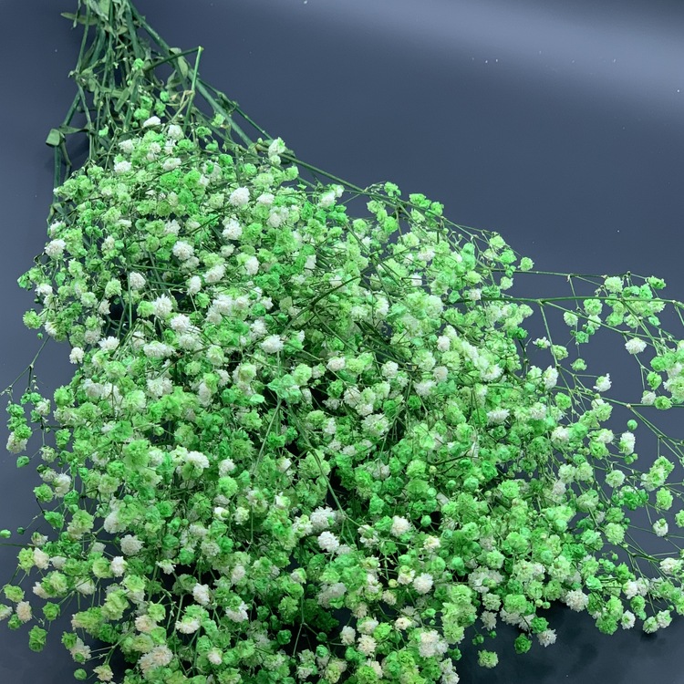 厂家花农满天星永生满天星插花花艺家居装饰婚庆节日送礼