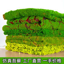 植物墙仿真【苔藓】绿色假苔藓青苔微景观盆景造景装饰材料草坪草