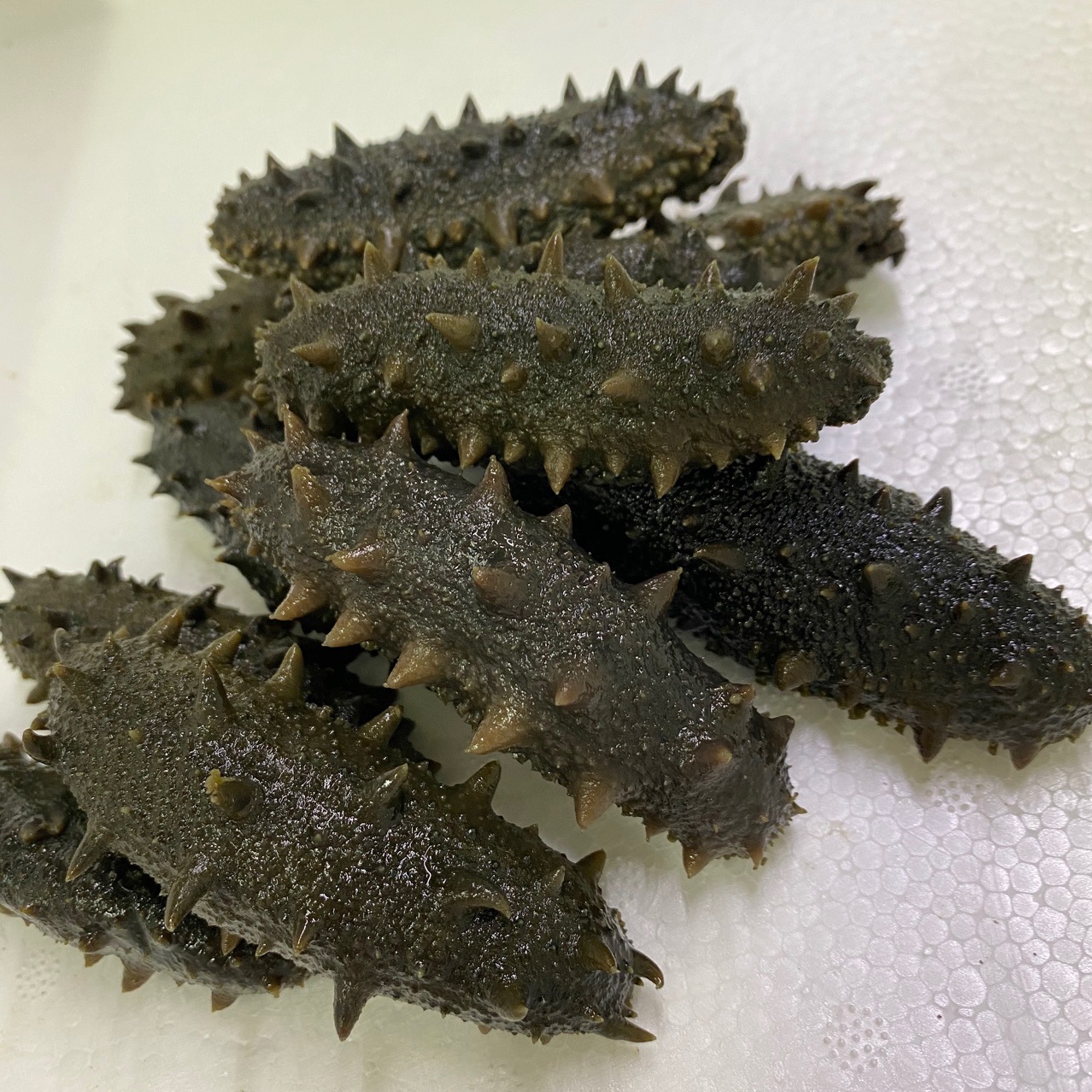 拉缸盐海参半干盐渍参非干货海参60头规格齐