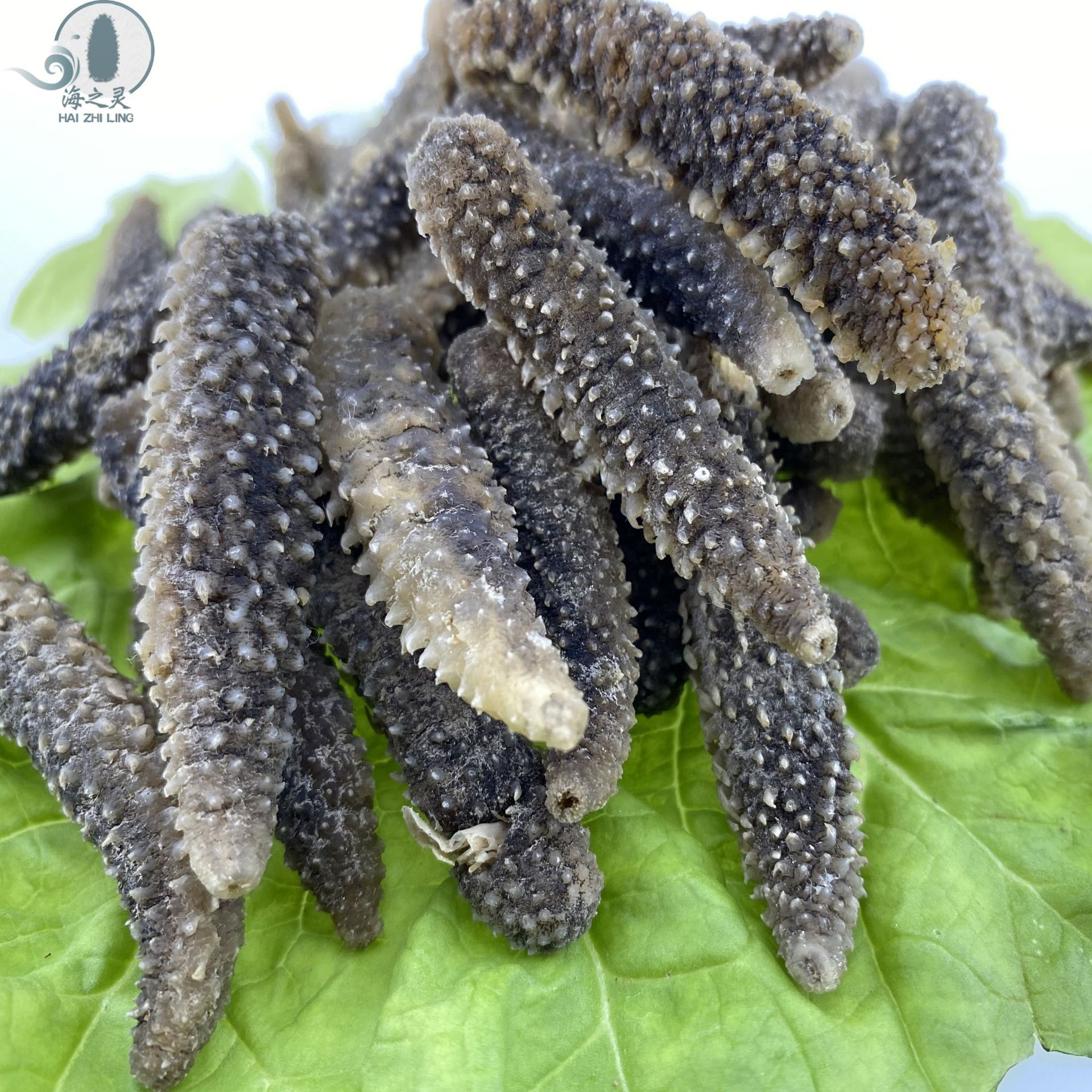 去皮刺秃参 小白刺参白刺参250-300头500克刺长密 海参干货批发