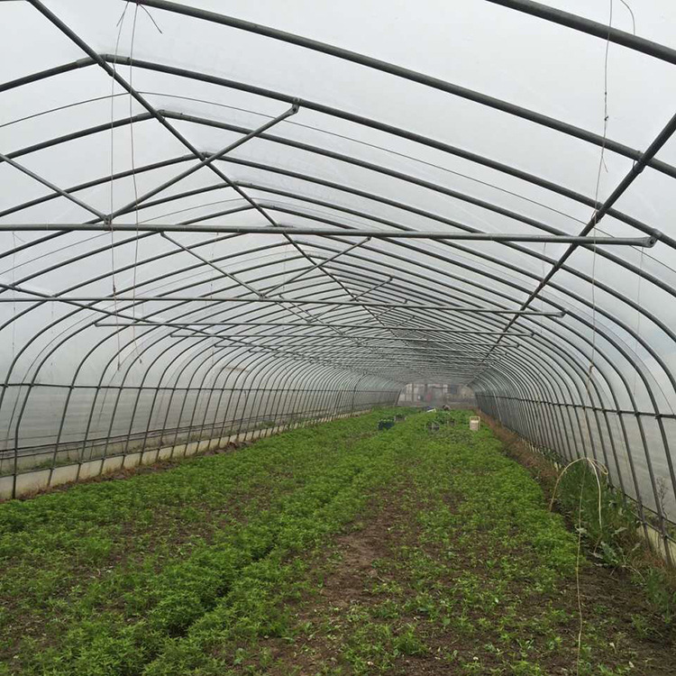 农业外遮阳温室大棚 单体大棚拱棚  恒温薄膜大棚 草莓种植大棚