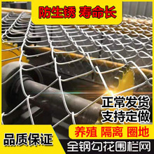 热镀锌钢丝网定制 养鸡养狗勾花网边坡支护网电镀锌防护网