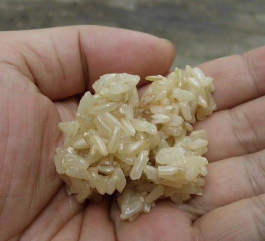 供应新鲜衡阳特产糙糯米酒糟米酒糟甜酒糟原坛胡酒糟醪糟