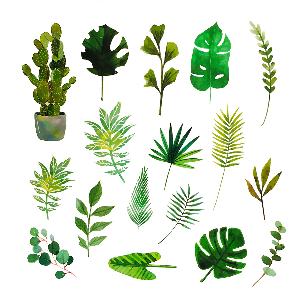 60张绿色植物树叶头盔贴纸小清新行李箱笔记本地摊热卖防水贴画