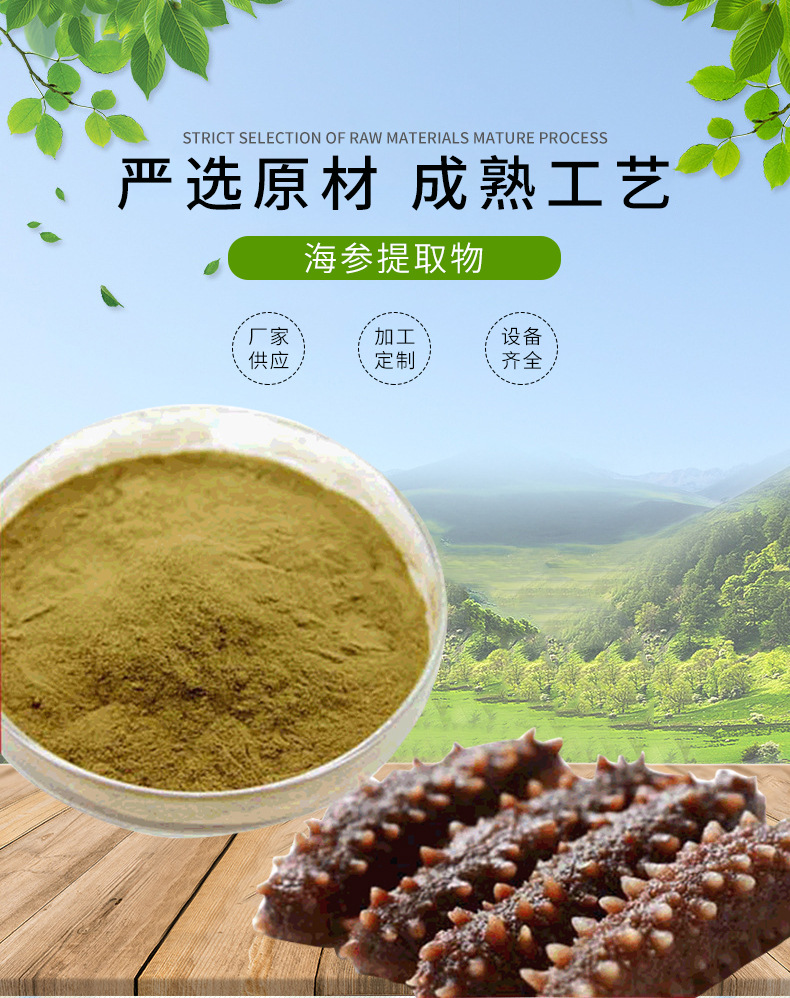海参多糖海参肽厂家