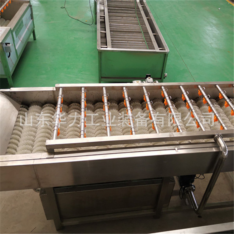 山东华力魔芋毛刷去皮清洗机橙子毛刷清洗设备猪耳朵毛刷清洗机