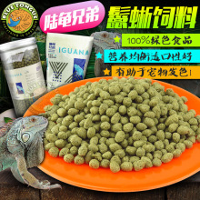 陆龟兄弟蜥蜴粮鬣蜥绿鬣蜥红鬣蜥蓝鬣蜥犀牛缤纷蜥蜴粮食蜥蜴饲料