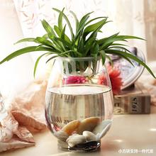 植物大号草绿铜钱花盆培缸养鱼器皿富贵竹水玻璃水容器花瓶萝透明