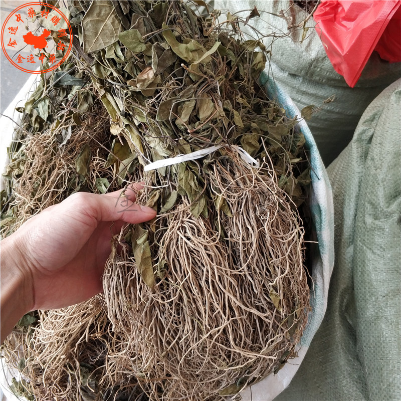 双飞蝴蝶中草药 三十六荡 老君须老虎须 三十六根中药材